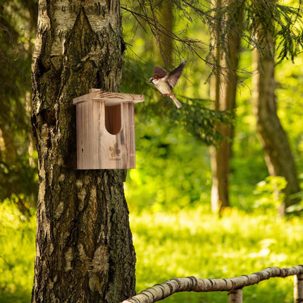 Nestbox liesmota pusdobuma audzētāja