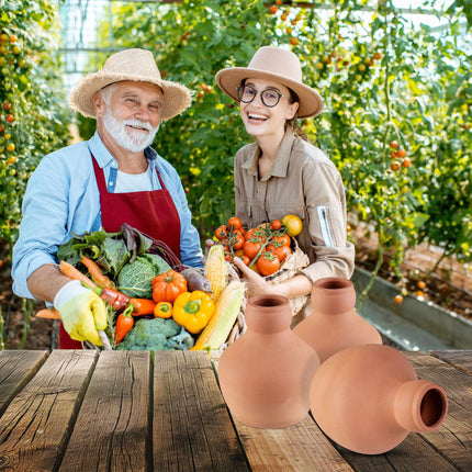 Ollas apūdeņošanai 550 ml 3 iepakojums