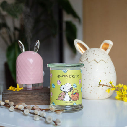 Aromātiskā svece "Peanuts" - stikla burciņa, gatava dāvināšanai