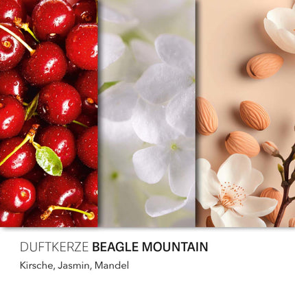 Aromātiskā svece "Pearnuts" stikla burkā, gatava dāvināšanai