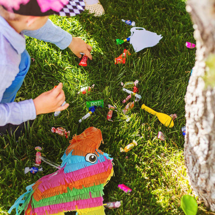 Pinata ēzelis