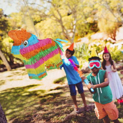 Pinata ēzelis