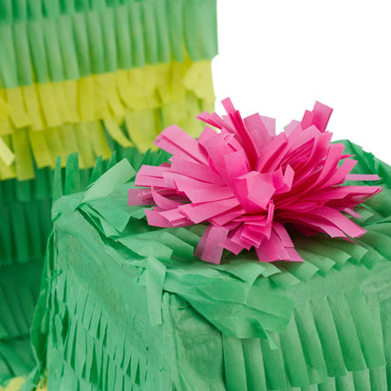 Pinata kaktuss