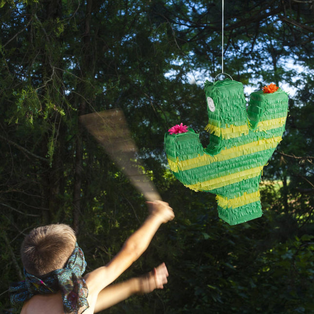 Pinata kaktuss
