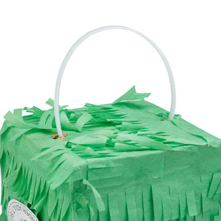 Pinata kaktuss