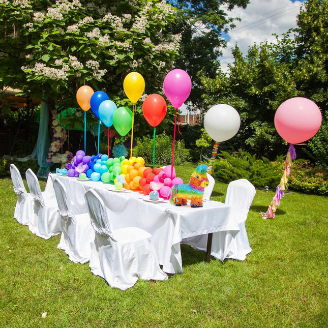 Krāsains ēzelis Pinata