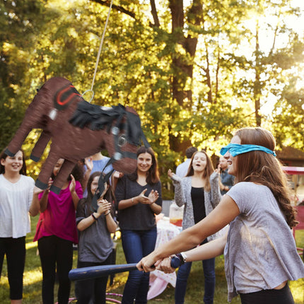 Pinata ponijs