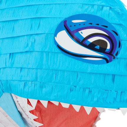 Pinata haizivs