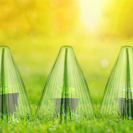 Plant Protection Cones, Set of 32 – Green PVC Covers