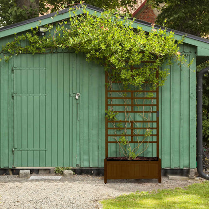 Puķu kaste ar režģa sienu brūnā krāsā