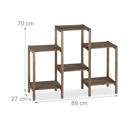 Augu plaukts ar 6-7 plauktiem