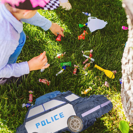 Policijas spināti