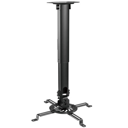 Projector mount with arm
