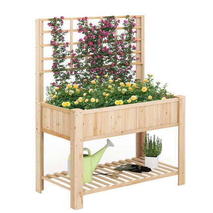 Raised Garden Bed with Trellis and Drainage, 116x59x150 cm