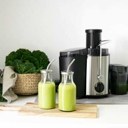 Raw juice centrifuge 0.6L 500W RS110 Black