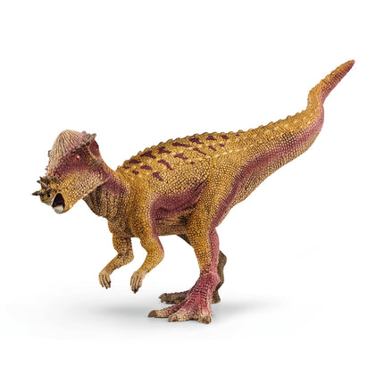 Šleiha dinozauri Pachycephalosaurus