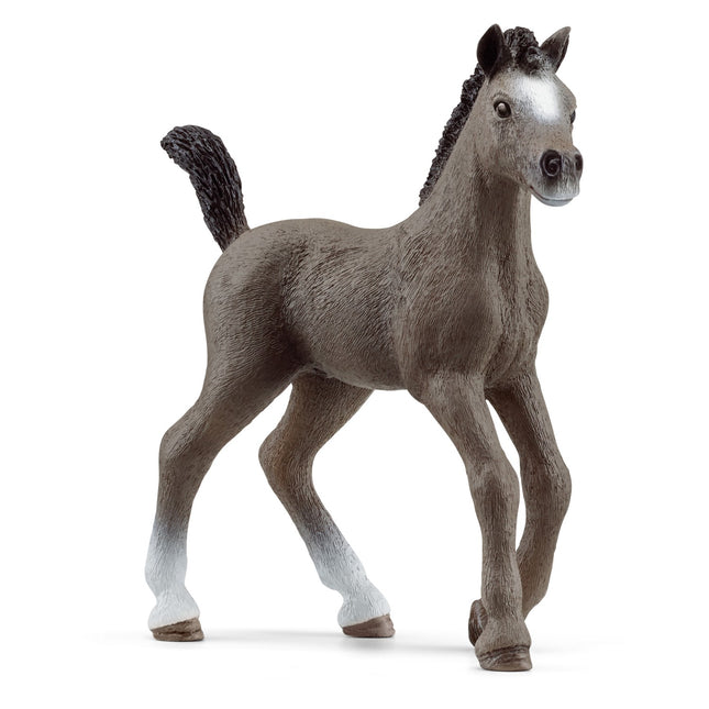 Schleich Horse Club franču jājamzirga kumeļš