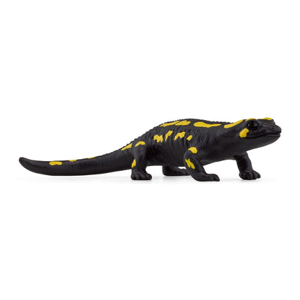 Šleiha savvaļas dzīvības uguns salamandra