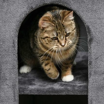 Cat Scratching Tower, 81 cm, 2 caves, dark grey, up to 6 kg