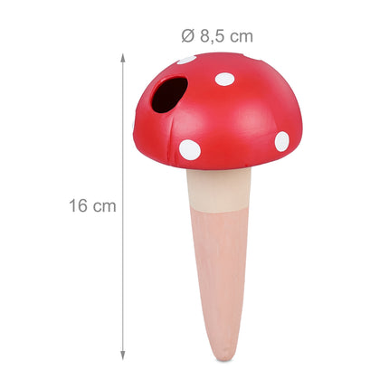 4 sēņu komplekts māla konusos