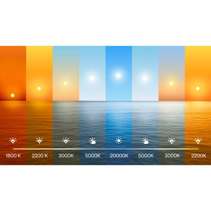 Smart LED Bulbs E27 1100lm, White & Color, 2-Pack with Bridge