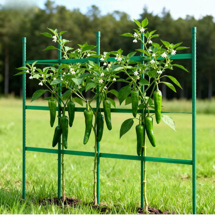 Tomato Stakes, 50 Pack 46-Inch PE-Coated Steel