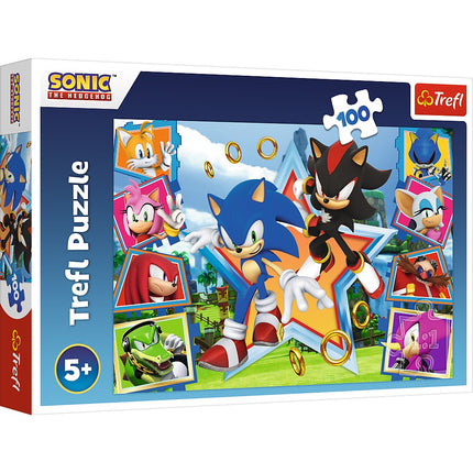 Trefl Sonic puzle, 100 gab.