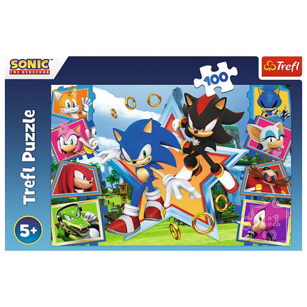 Trefl Sonic puzle, 100 gab.