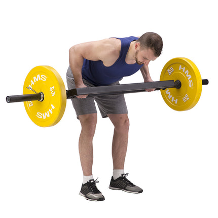 Tricepsa stienis, 20 kg svars, tērauda konstrukcija