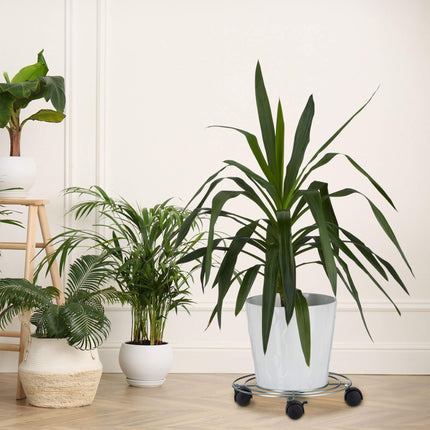 Vegetal komplekts (2 gab.)