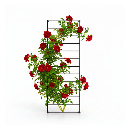 Wall-Mounted Steel Trellis for Climbing Plants, 210 x 76 cm, Black