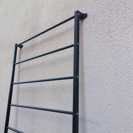 Wall-Mounted Steel Trellis for Climbing Plants, 210 x 76 cm, Black