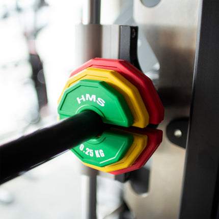 Svaru plāksne 2 x 0,5 kg spēka treniņiem