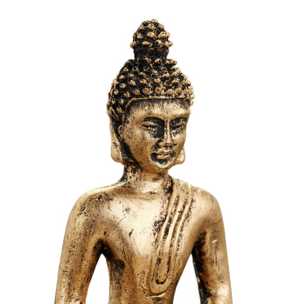 Zen dārzs ar Budu