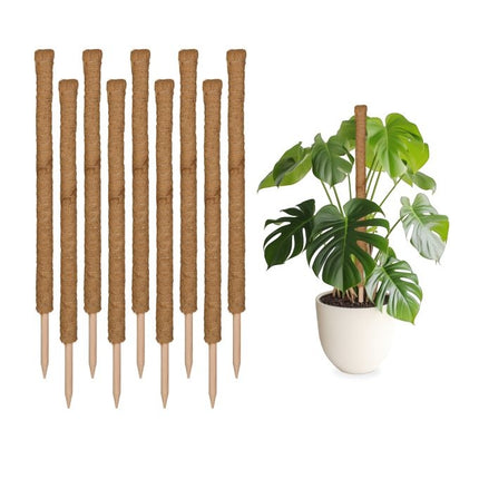 10 kokosriekstu standziņu komplekts, 90 cm