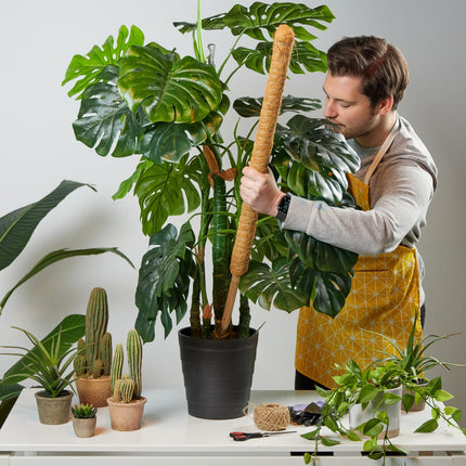 10 kokosriekstu standziņu komplekts, 90 cm